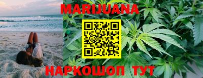 индика Бердск